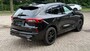 Ford Kuga 2.5 PHEV ST-LINE X/ BLACK PACK FULL OPT. / Nieuwste model! Blue cruise mogelijk