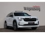 Skoda Kodiaq 1.5 TSI PHEV Sportline Business Panorama LED