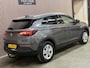 Opel Grandland X 1.2 Turbo Business Executive 2020 NAP LED CAR-PLAY