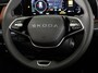 Skoda Kodiaq 1.5 TSI PHEV Business Edition Plus | Cognac leder | Panoramadak | Trekhaak | Light & View | Adaptief onderstel | Canton Sound | Adaptive Cruise | Blind Spot |
