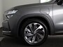 Skoda Kodiaq 1.5 TSI PHEV Business Edition Plus | Cognac leder | Panoramadak | Trekhaak | Light & View | Adaptief onderstel | Canton Sound | Adaptive Cruise | Blind Spot |