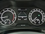 Skoda Kamiq 1.0 TSI Business Edition (Cruise / Carplay / Stoel-Stuurverw.)