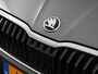 Skoda Fabia 1.0 TSI Business Edition (Stoelverw. / Camera / Navi / Draadloos carplay / Keyless)