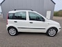 Fiat Panda 1.2 Edizione Cool