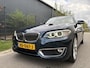 BMW 2-Serie Cabrio 220i High Executive / AUTOMAAT / NAVI / HARMAN KARDON / LEER / LUXURY / 1E EIGENAAR