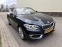 BMW 2-Serie Cabrio 220i High Executive / AUTOMAAT / NAVI / HARMAN KARDON / LEER / LUXURY / 1E EIGENAAR