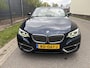 BMW 2-Serie Cabrio 220i High Executive / AUTOMAAT / NAVI / HARMAN KARDON / LEER / LUXURY / 1E EIGENAAR