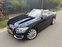 BMW 2-Serie Cabrio 220i High Executive / AUTOMAAT / NAVI / HARMAN KARDON / LEER / LUXURY / 1E EIGENAAR