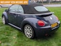 Volkswagen Beetle New Cabriolet 1.6 Highline