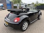 Volkswagen Beetle New Cabriolet 1.6 Automaat Highline Airco/Stoelverw/Cruise/PDC/Trekhaak/LMV
