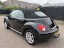 Volkswagen Beetle New Cabriolet 1.6 Automaat Highline Airco/Stoelverw/Cruise/PDC/Trekhaak/LMV
