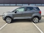 Ford EcoSport 1.0 EcoBoost Titanium | Navi | Hoge instap | % Bovag Occasion Partner %