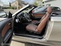 BMW 1-Serie Cabrio 118i High Executive BRUIN LEDER AUTOMAAT