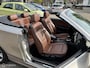 BMW 1-Serie Cabrio 118i High Executive BRUIN LEDER AUTOMAAT