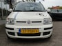 Fiat Panda 1.2 Edizione Cool Airco