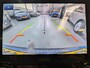 Ford Puma 125pk ST-Line X Half Leer B&O Navi Camera Parking pack Privacy glass All Season Banden