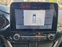 Ford Fiesta 1.0 EcoBoost 100pk Titanium 5drs Winterpack
