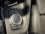 BMW X1 xDrive25e Executive M-Sport | Camera | Trekhaak | Stoelverwarming | 4x4