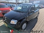 Fiat Panda 1.2 Edizione Cool
