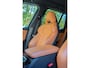 BMW X3 xDrive30e High Executive TREKHAAK | KUIPSTOELEN | MEMORY | CAMERA | HIFI