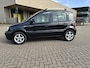 Fiat Panda 1.2 Edizione Cool