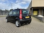 Fiat Panda 1.2 Edizione Cool