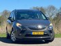 Opel Zafira Tourer 1.6 CDTI Business+ 7pers - Asteroid Grey - Winterpakket - Keurig