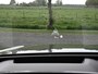 Audi A6 Avant 55TFSI E Quattro S-Line 367pk RS-Zetels Pano B&O ACC Tr-Haak 21-Inch 4W-best HUD 360cam VOL!
