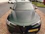 Alfa Romeo Stelvio 2.2d Customized Verde Visconti | Carplay | 20 inch | Leer | ETC.