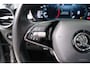 Skoda Fabia 1.0 TSI Business Edition - N.A.P. Airco, Cruise, Carplay, Virtual Display.