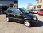 Fiat Panda 1.2 Edizione Cool