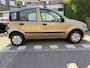 Fiat Panda 1.2 Edizione Cool AUTOMAAT AIRCO