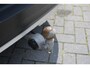 Volvo XC40 1.5 T4 Recharge Inscription | Panoramadak | Elek. bed. voorstoelen met geheugen | Semi elek. trekhaak | Verwarmbare voorstoelen | Verwarmbaar stuurwiel | 360 graden camera | Verwarmbare achterbank | Keyless entry | Premium audio by Harman Kardon | Adaptive cruise control | Blind spot | Elektrische achterklep | Apple carplay |