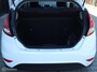 Ford Fiesta 5Drs EcoBoost 100PK Titanium Navigatie 17"Velgen DonkerGlas Chroom