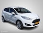 Ford Fiesta 5Drs EcoBoost 100PK Titanium Navigatie 17"Velgen DonkerGlas Chroom