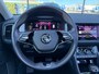 Skoda Kodiaq 1.5 TSI Business Edition Plus 7p. - Automaat - Pano/Schuifdak - Navi - Winterpakket