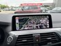 BMW X4 xDrive20i Executive Edition M Sport Achteruitrijcamera LED Carplay 20 Inch