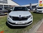 Skoda Kodiaq 2.0 TSI 180pk 4x4 Style Business Full options