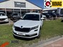 Skoda Kodiaq 2.0 TSI 180pk 4x4 Style Business VOL OPTIES