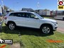 Skoda Kodiaq 2.0 TSI 180pk 4x4 Style Business Full options