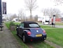 Volkswagen Beetle New Cabriolet 1.6 Turijn Comfort ( INRUIL MOGELIJK )