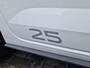 Volkswagen Polo 2.0 TSI GTI DSG 25 Edition /Pano /1e eigenaar