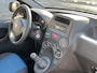 Fiat Panda 1.2 Active 105.000 km NL-AUTO-NAP.