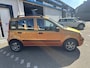 Fiat Panda 1.2 Edizione Cool /Nieuwe apk bij aflevering/Airco/Lm velgen