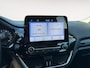 Ford Fiesta 1.0 EcoBoost Hybrid Titanium | Winter Pack | PDC Achter | DAB | Cruise Control | Apple Carplay & Android Auto |
