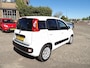 Fiat Panda 1.2 Lounge / 4-Cilinder / Airco / Rijklaarprijs