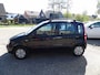 Fiat Panda 1.2 Edizione Cool