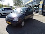 Fiat Panda 1.2 Edizione Cool