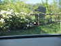 Kia Niro EV ExecutiveLine 64.8 kWh | Panoramadak | 360 Camera | Harman Kardon | Head-Up Display | Apple Carplay |