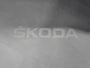Skoda Karoq 1.5 TSI DSG ACT Sportline Business | Matrix-LED | Camera | Stoel/Stuurverw. | Navi